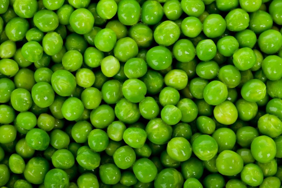 Hrachová múka ako rastlinný proteínový šampión